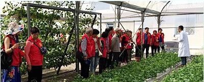 蔬菜種子，幾百萬(wàn)種植戶(hù)的選擇