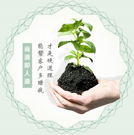 蔬菜種子經(jīng)營(yíng)，商道即人道