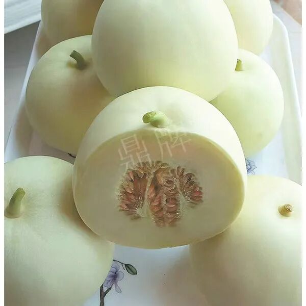 蔬菜種子種植戶種植心得-這個品種幫我留一些，4月份我們當?shù)剡€要種一批